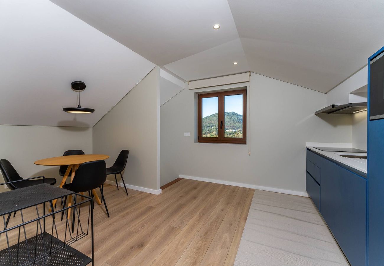 Villa em Ponte de Lima - Lima View Villa - Casa com piscina e jardim