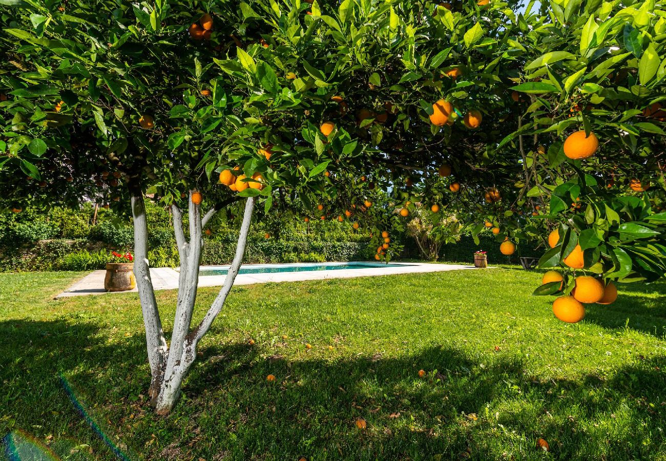 Casa em Guimarães - Quinta Ribeira