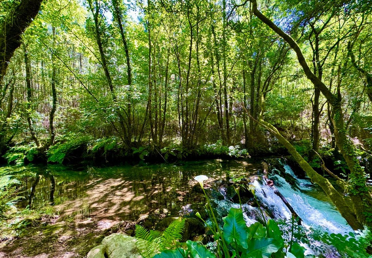 Casa em Ponte de Lima - Casa da Varziela