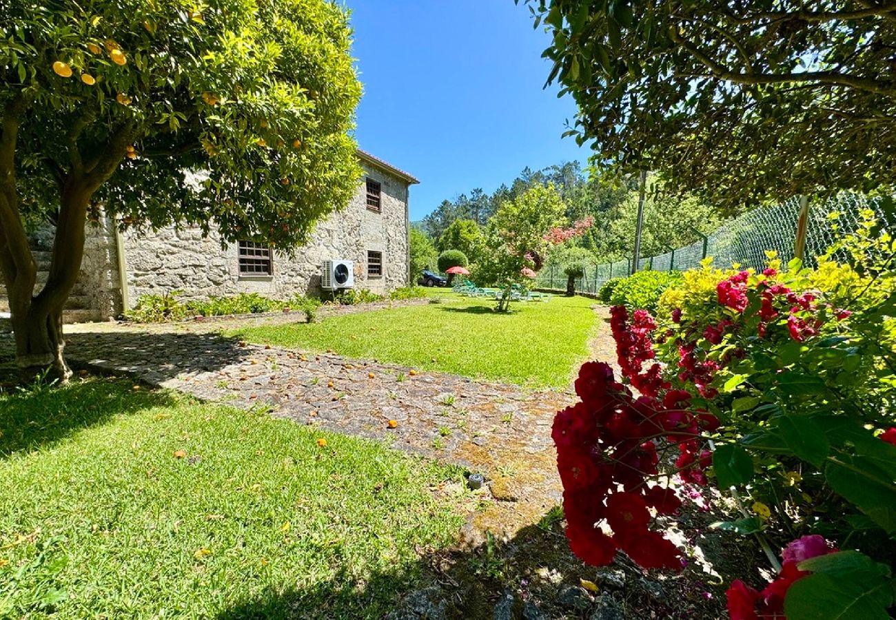Casa em Ponte de Lima - Casa da Varziela