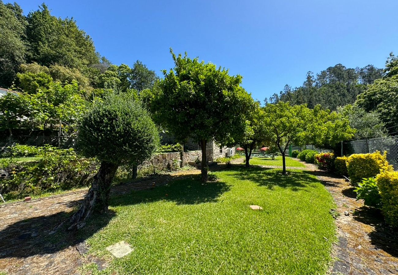Casa em Ponte de Lima - Casa da Varziela