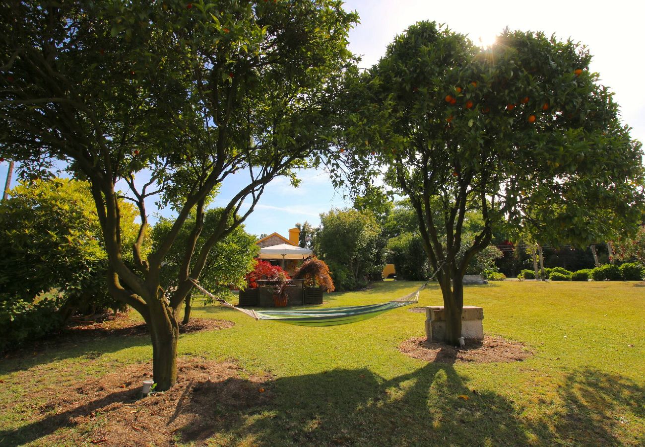 Ferienhaus in Caminha - Casa Rural Vilar de Mouros