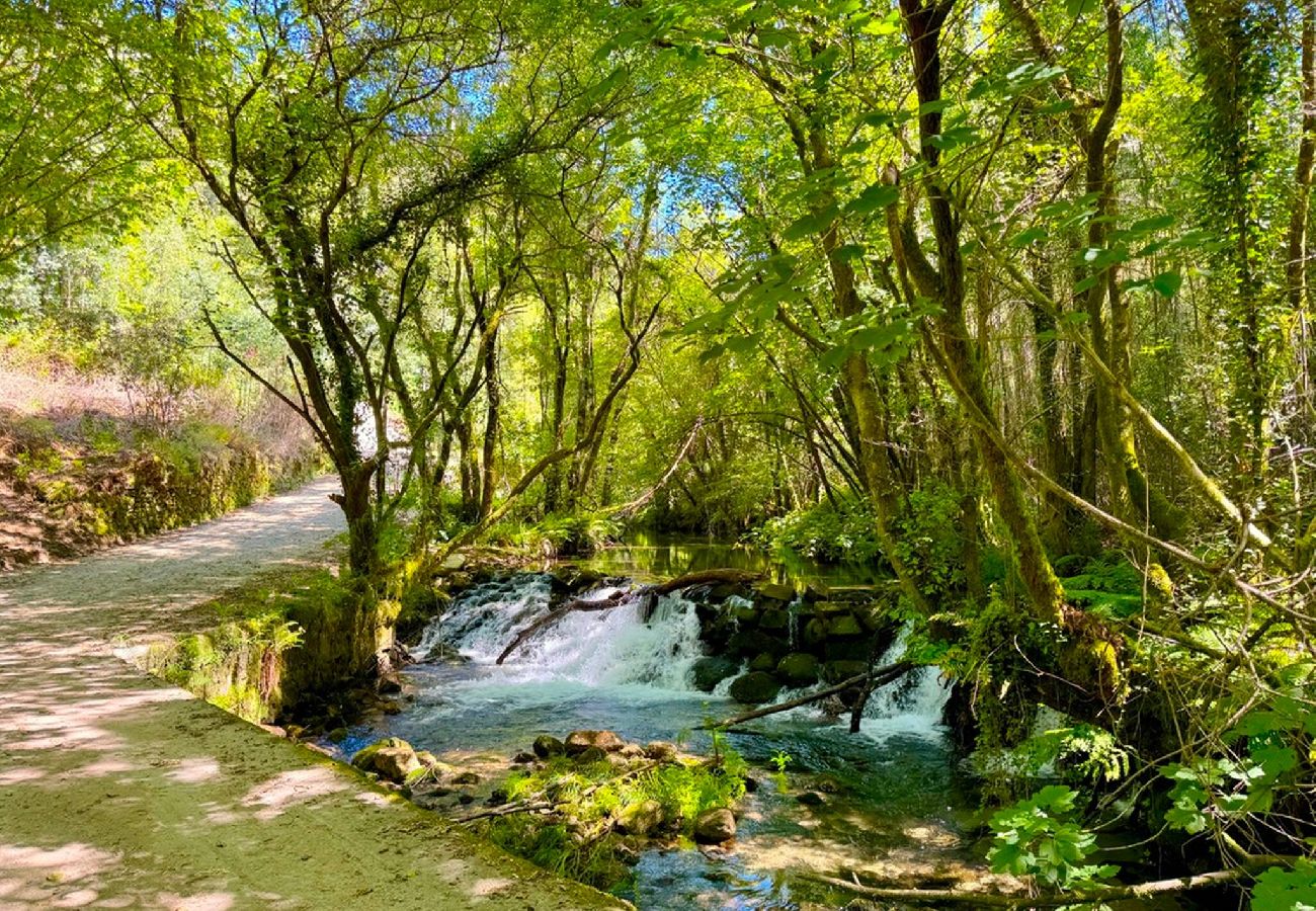 Ferienhaus in Ponte de Lima - Casa da Varziela