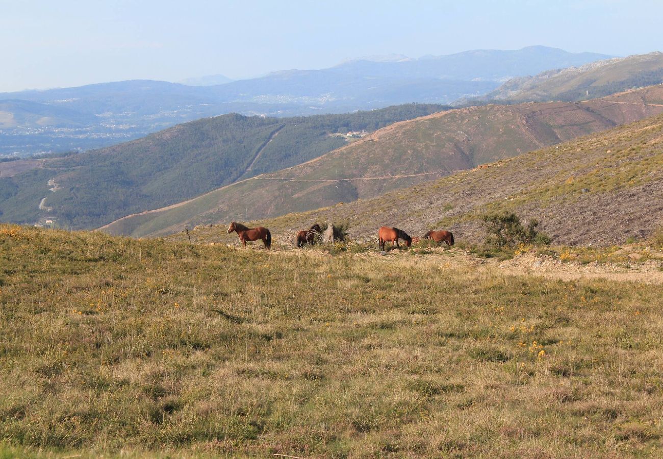 Ferienhaus in Ponte de Lima - Casa das Branquinhas