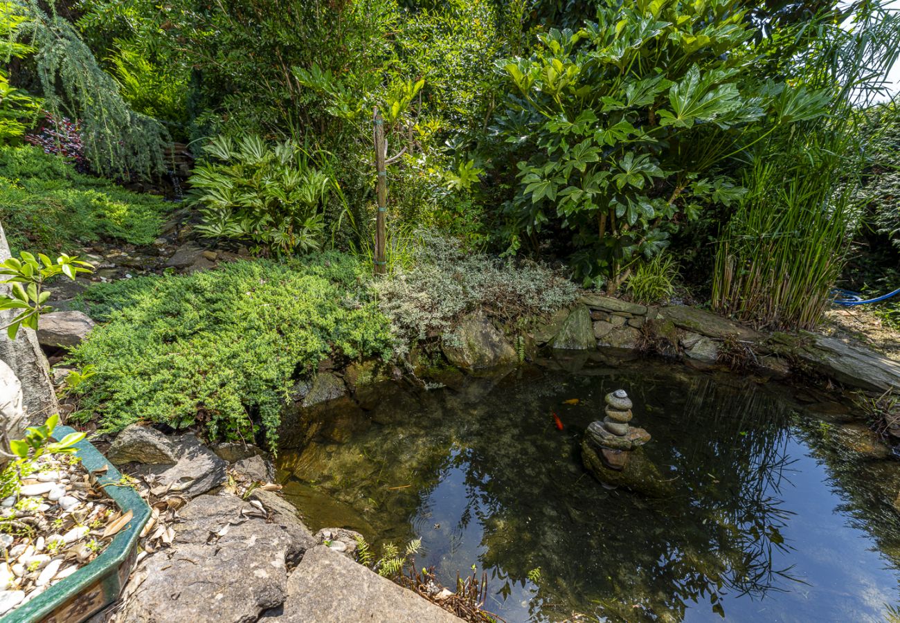 Villa in Ponte de Lima - Terra Lima Country Villa