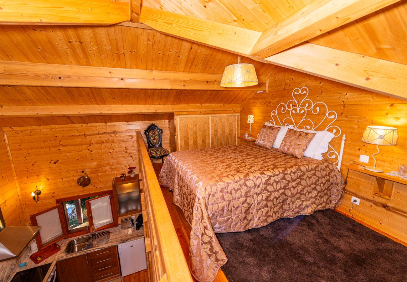 Agrotourismus in Ponte de Lima - Magnolia Sublime Villas - Casa da Bragunda