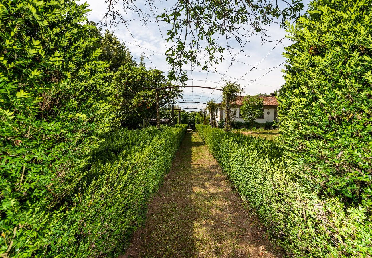 House in Guimarães - Quinta Ribeira