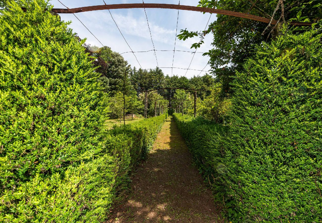 Casa en Guimarães - Quinta Ribeira