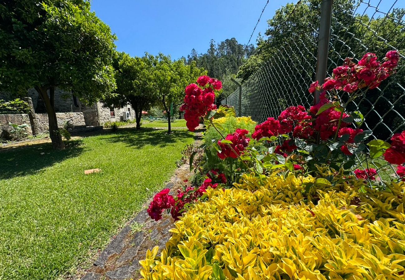 Casa en Ponte de Lima - Casa da Varziela