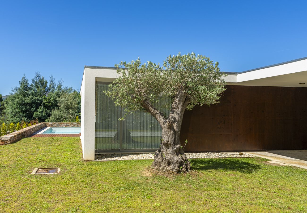 Villa à Ponte de Lima - Casa Mimosas