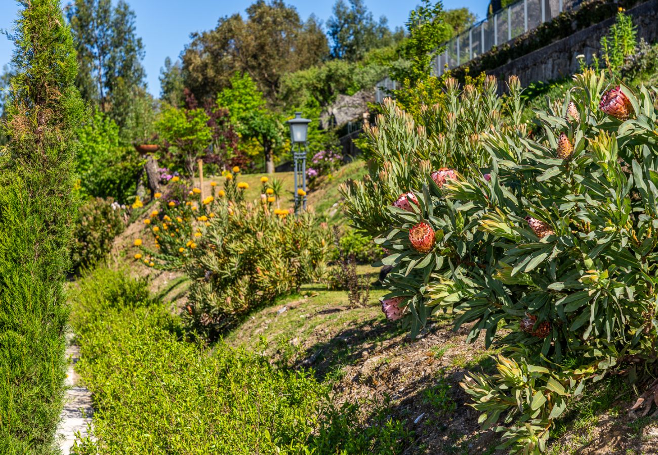 Villa à Ponte de Lima - Magnolia Sublime Villas - Casa dos Jerónimos