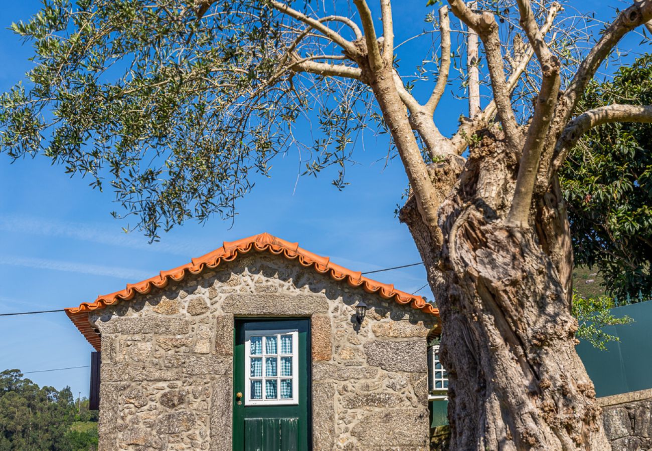 Gîte Rural à Ponte de Lima - Casa da Belavista
